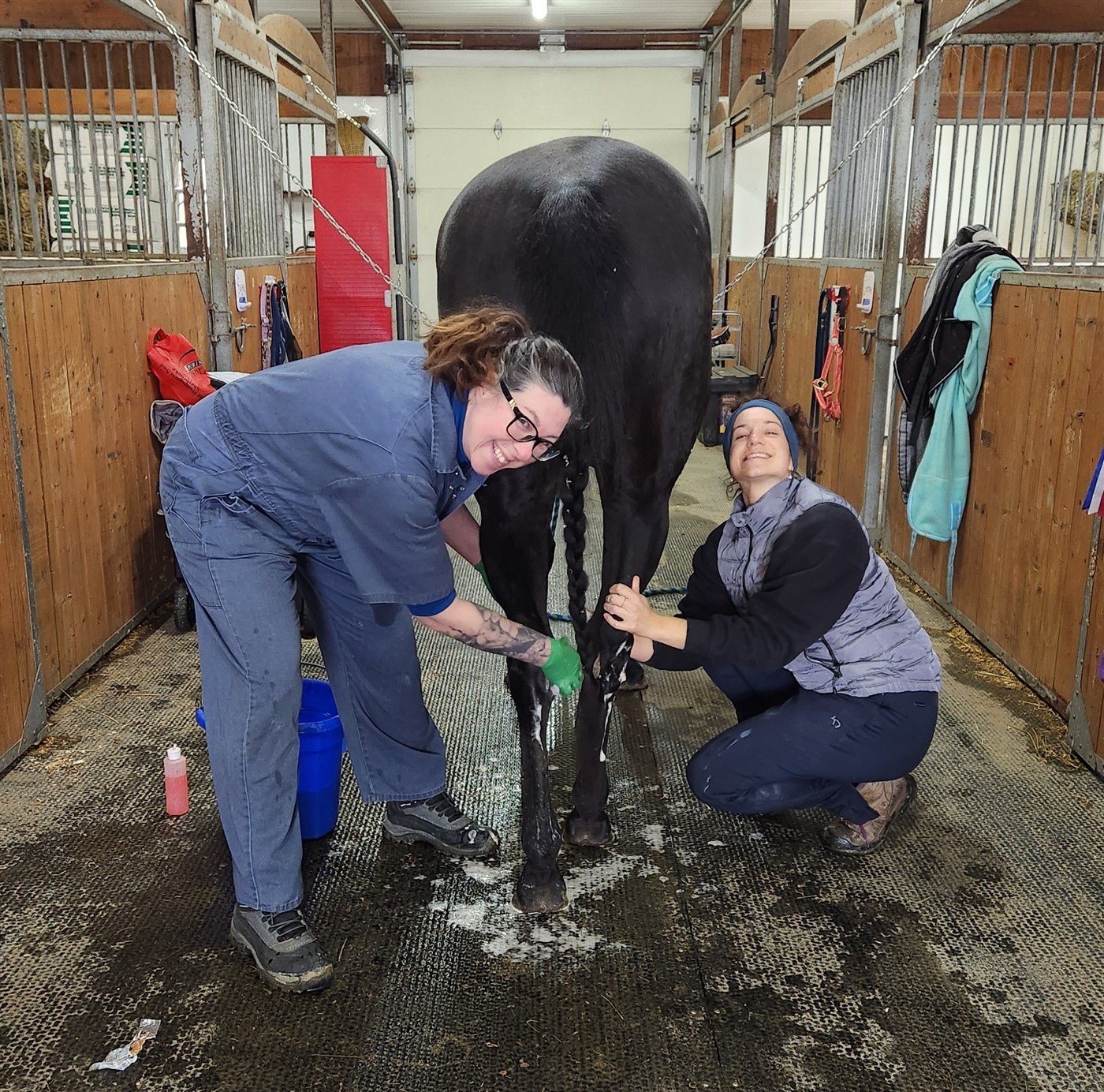 Vétérinaire de la CVC au travail avec un cheval