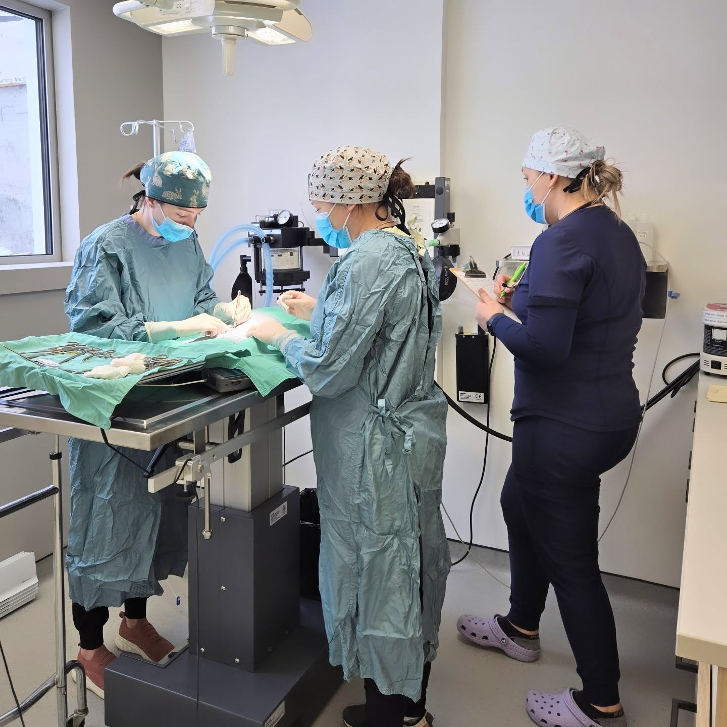 Technicienne en santé animale de la CVC avec un animal de compagnie