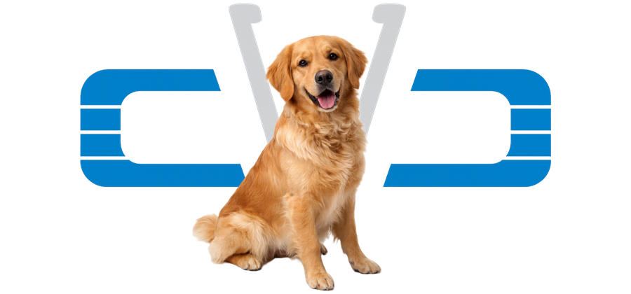 Chien ou chat — services vétérinaires pour animaux de compagnie à Coaticook