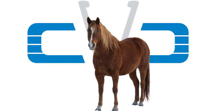 Cheval — services vétérinaires équins à Coaticook